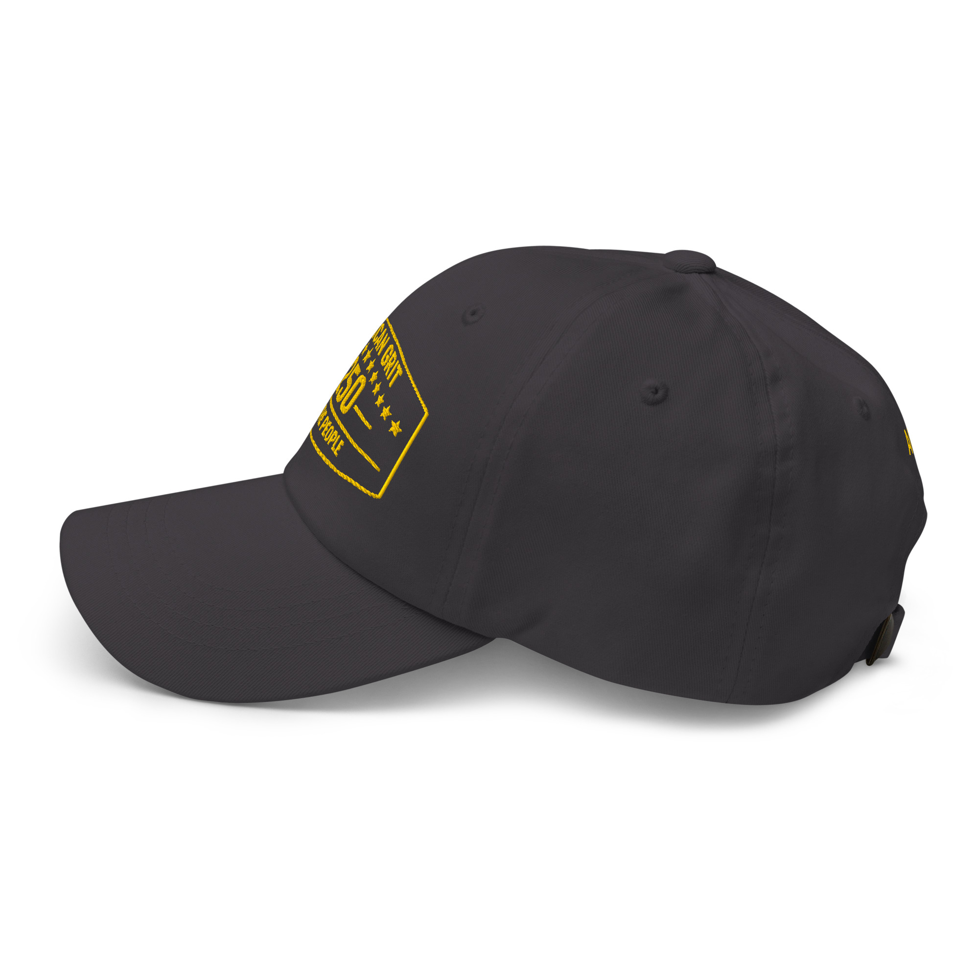 American Grit 250 Heritage Embroidered Hat – We The People Edition - Image 14