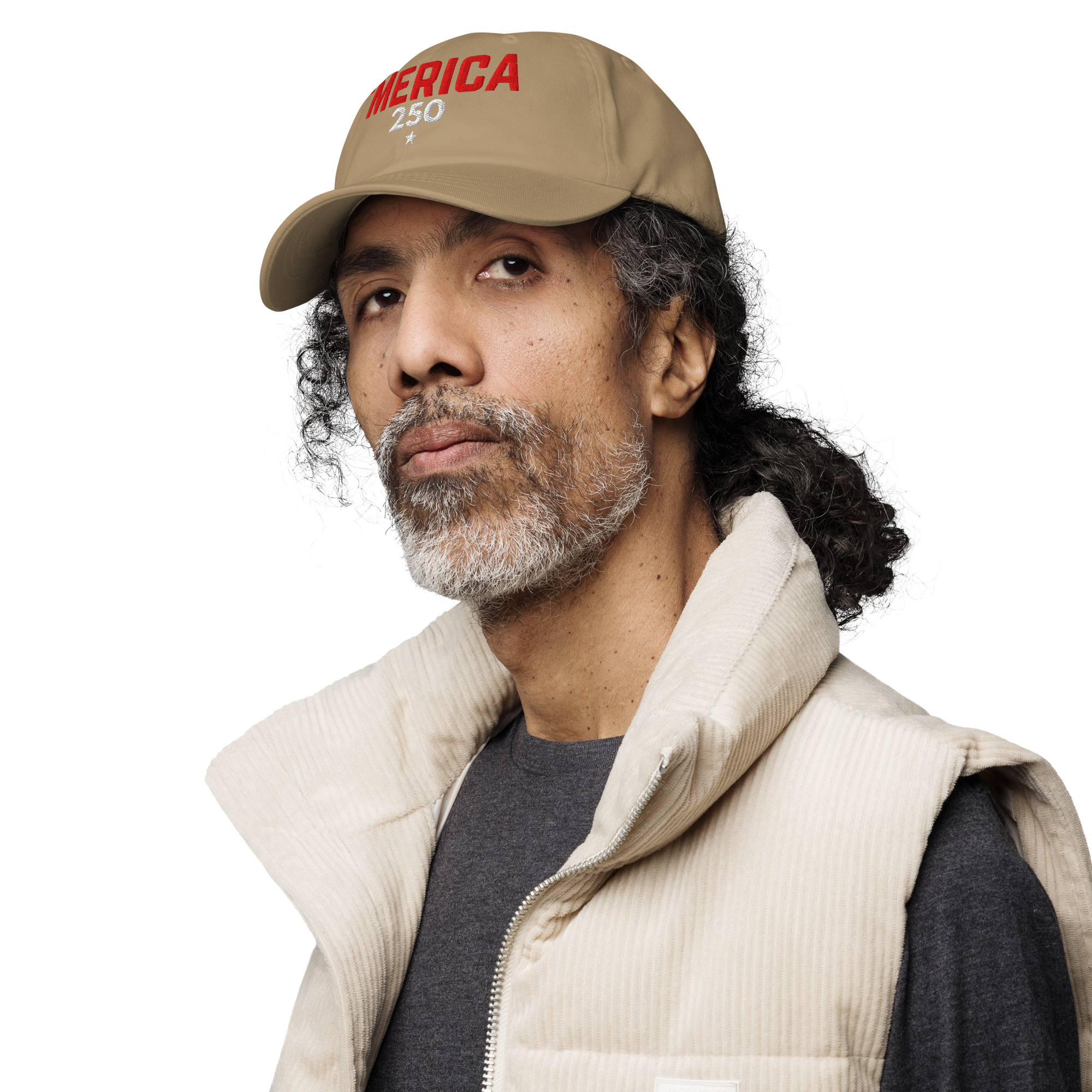 'Merica 250 Dad Hat - Embroidered - Image 44